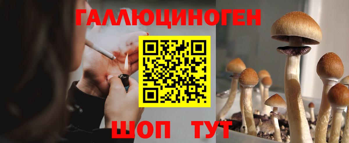 Псилоцибиновые грибы Psilocybine cubensis Первоуральск